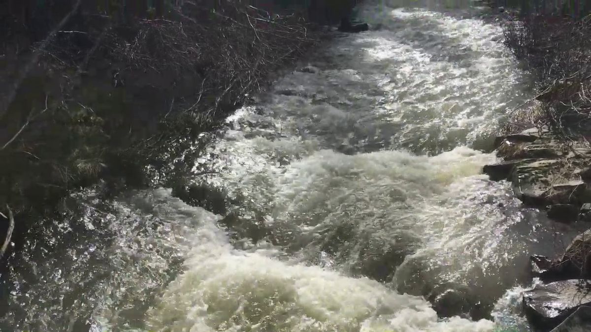 Benewah Creek runs alongside the road