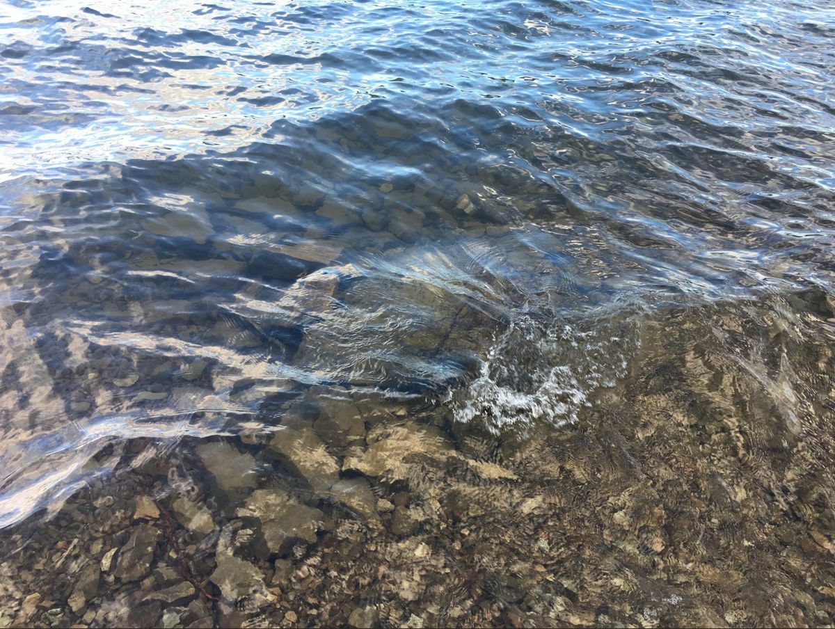 Lake Coeur d'Alene regional water clarity