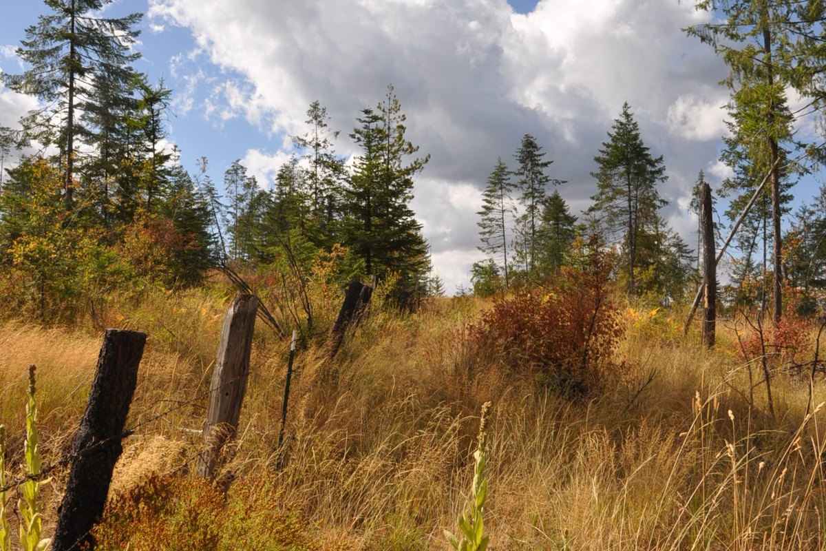 Lower 80 acres - hiking trail