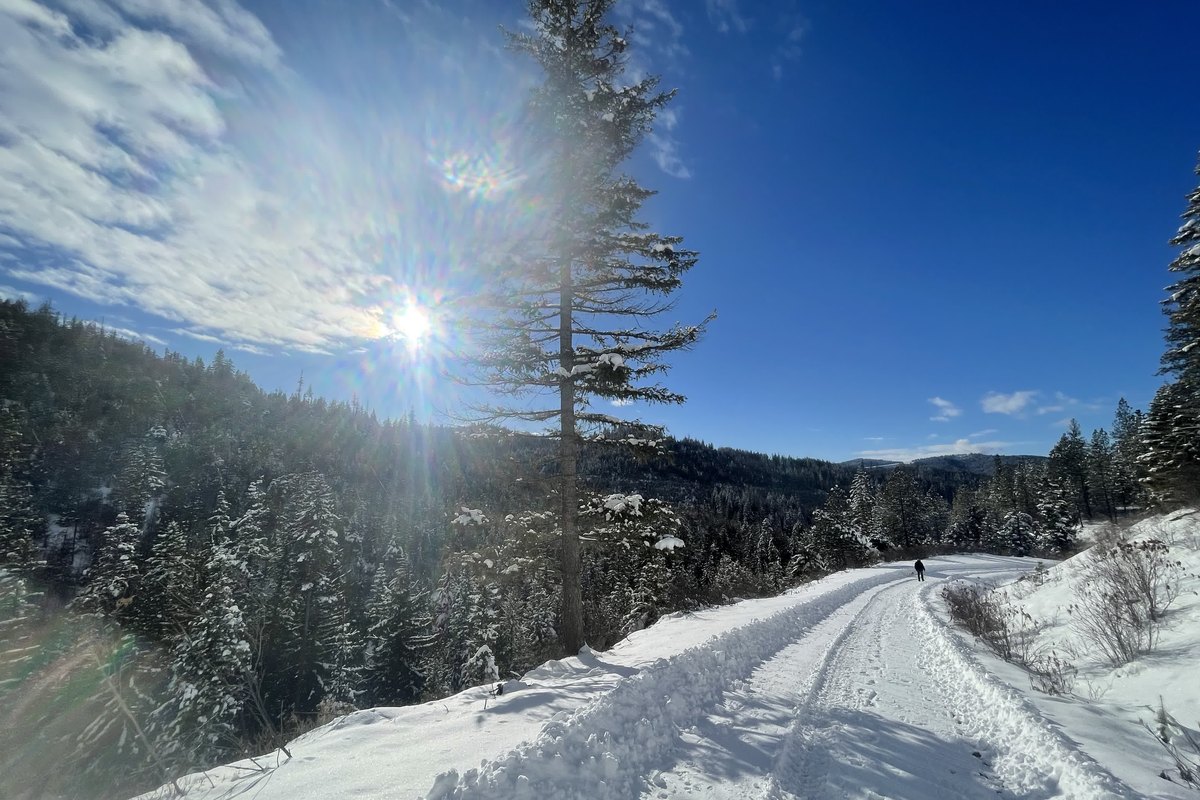 Winter - private access road hike