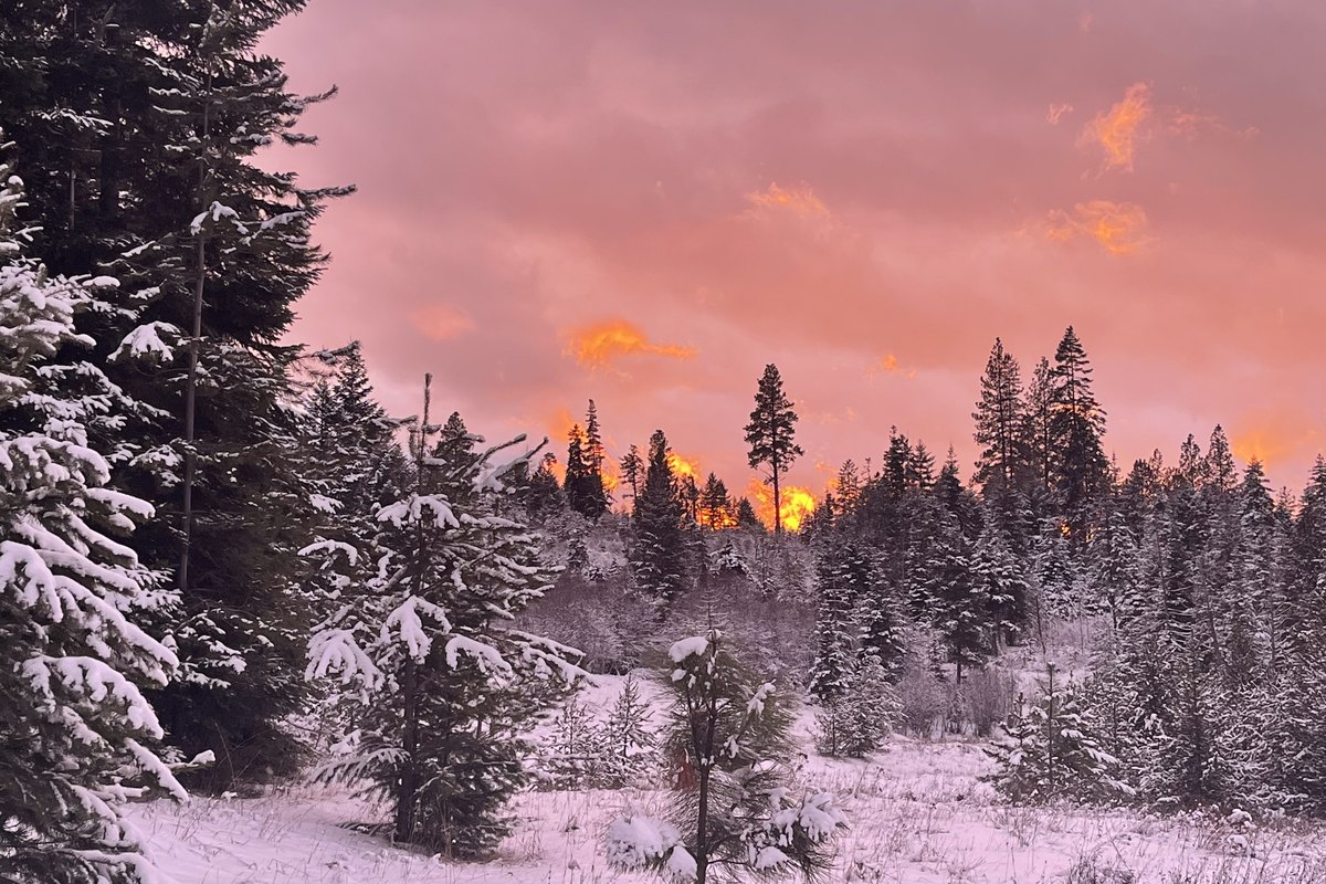 Winter - lower 80 hike