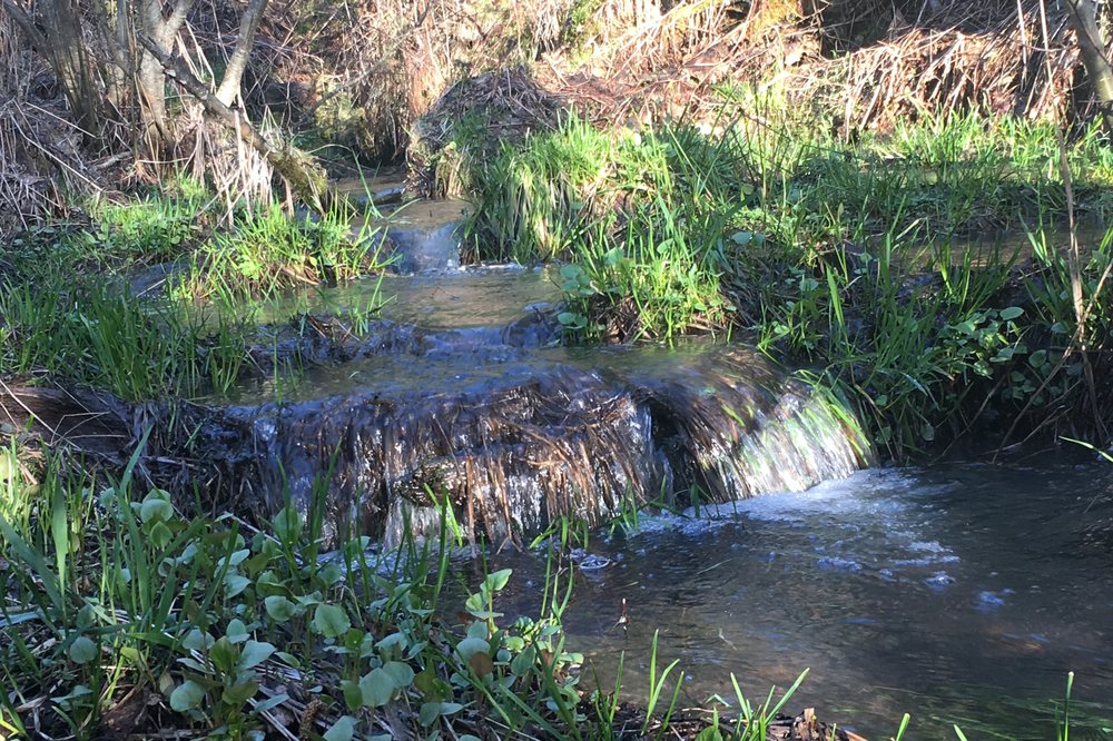 Seasonal creek on the estate