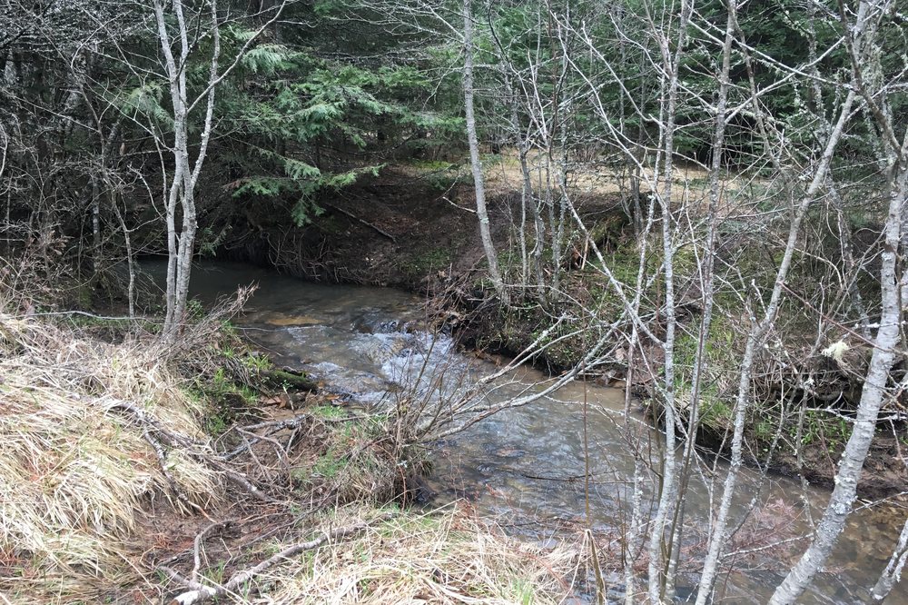 Seasonal creek on the estate