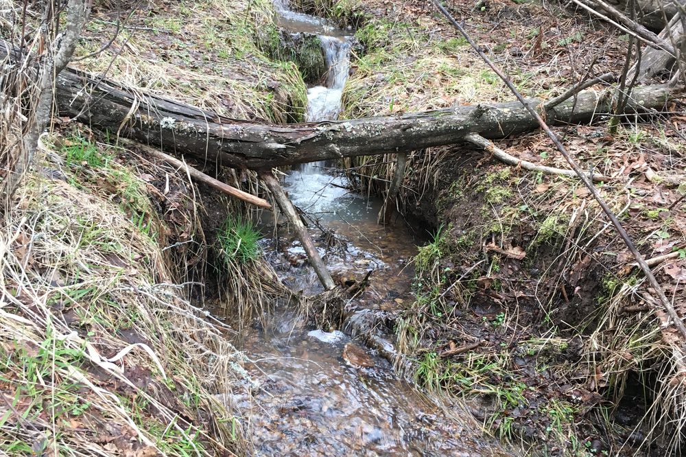 Seasonal creek on the estate
