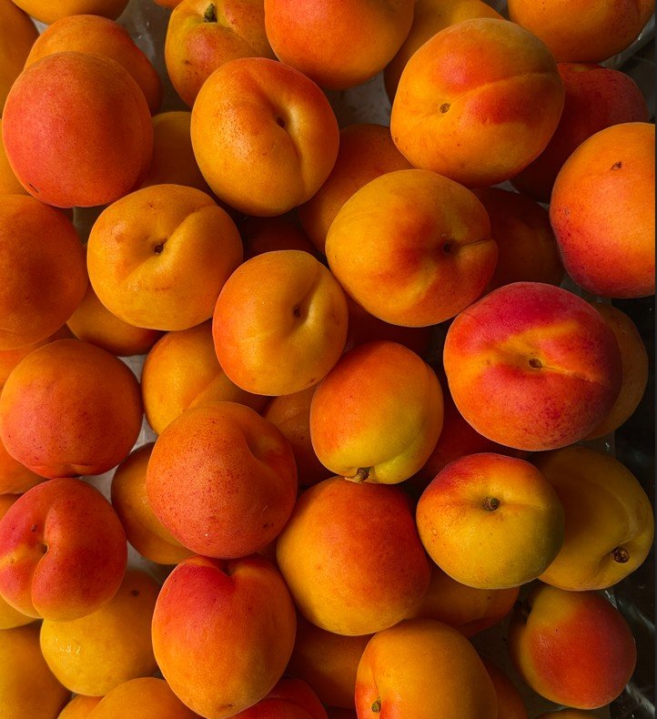 Apricots from the orchard