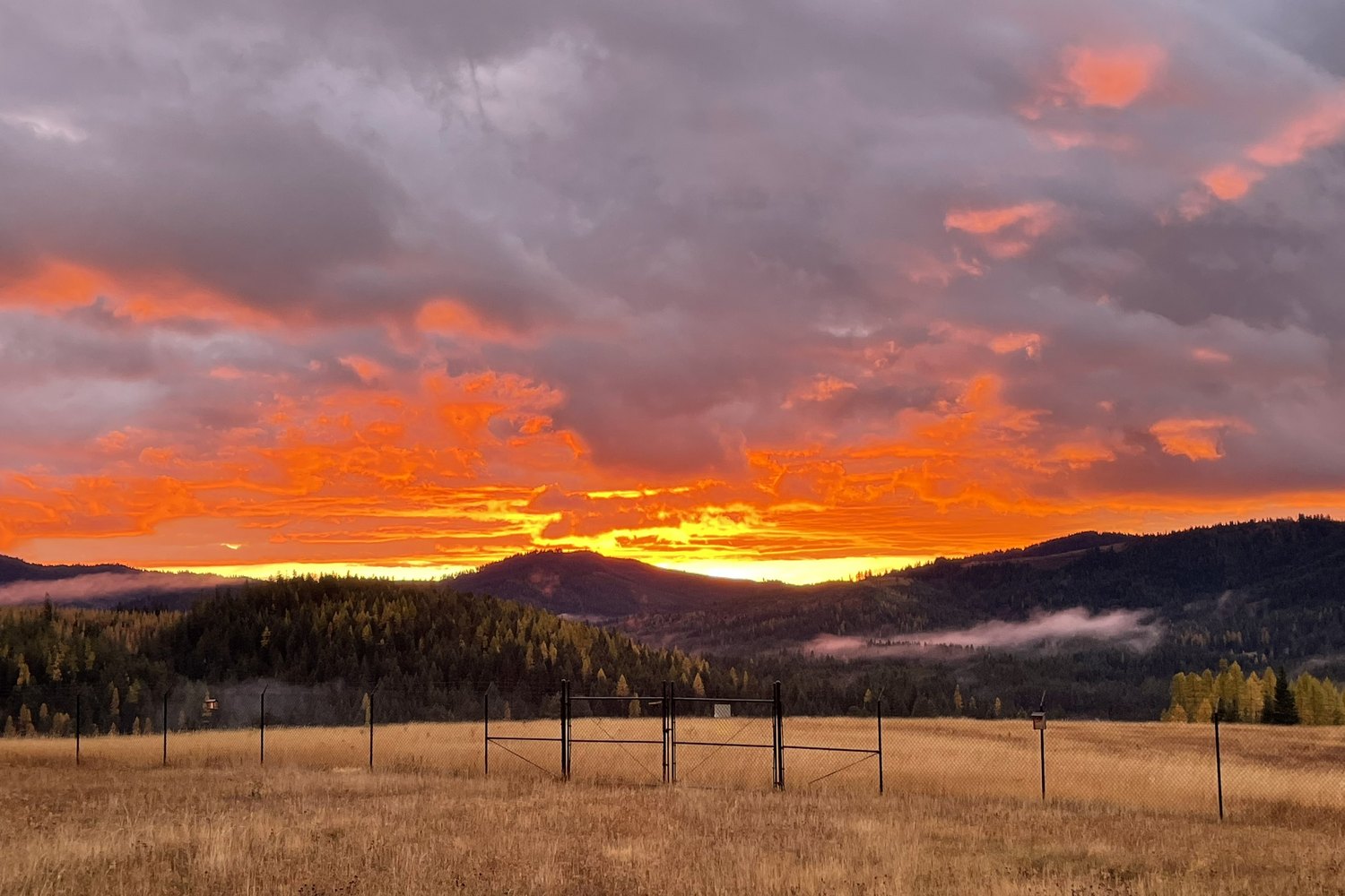 Fall — color across the ridgeline and front yard
