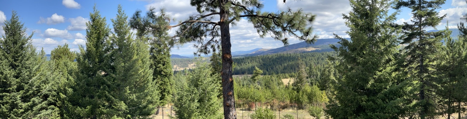 Panoramic amphitheater north east view from the rear porch